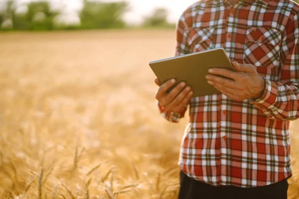 Smart farm. Farmer with a tablet in his hands on an agricultural field. Harvesting, organic farming concept.