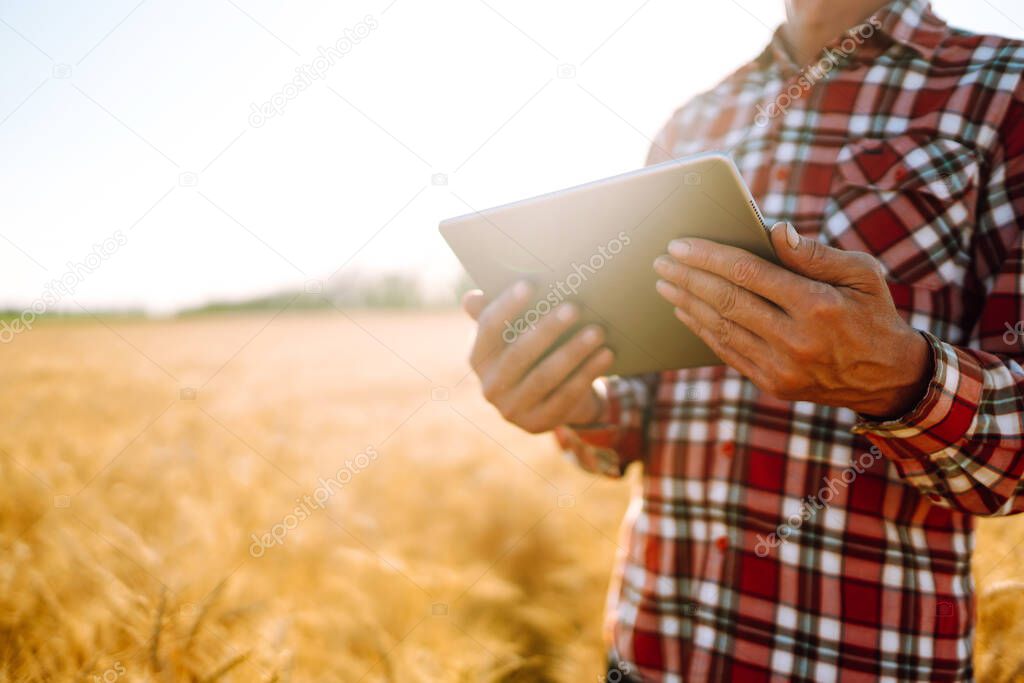 Smart farm. Farmer with a tablet in his hands on an agricultural field. Harvesting, organic farming concept. 