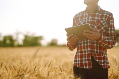 Akıllı çiftlik. Elinde tabletle tarım alanında çalışan bir çiftçi. Hasat, organik tarım konsepti. 