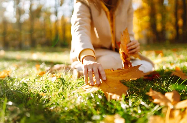 Menina Sorridente Recolhe Folhas Amarelas Outono Jovem Mulher Desfrutando Clima — Fotografia de Stock