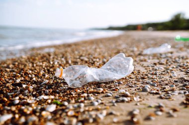Plajda boş plastik şişeler. Dünya 'nın küresel plastik kirliliği sorunu.