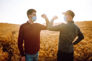 Two farmers in sterile medical masks greet their elbows on a wheat field during pandemic. Stop handshakes. Covid-2019. clipart
