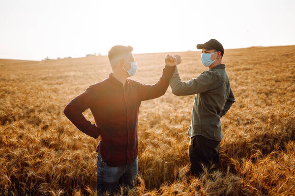 Two farmers in sterile medical masks greet their elbows on a wheat field during pandemic. Stop handshakes. Covid-2019.