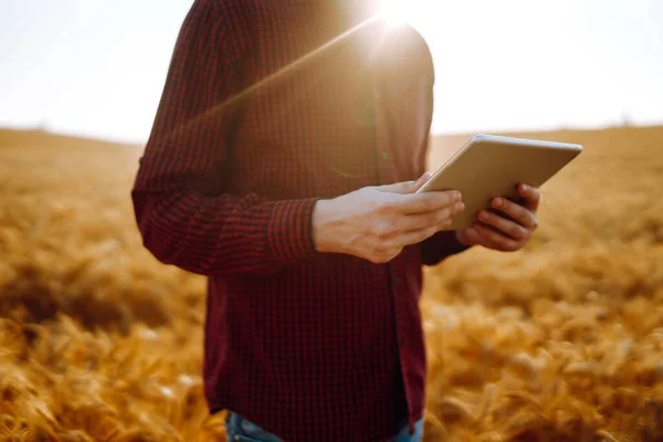 Een Tablet Handen Van Een Boer Agro Zaken Begrip Landbouw — Stockfoto