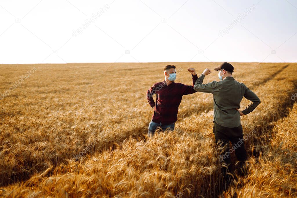 Two farmers in sterile medical masks greet their elbows on a wheat field during pandemic. Stop handshakes. Covid-2019.