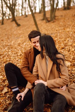Genç aşık bir çift bir sonbahar günü parkta yürür. Birlikte eğleniyoruz. Şık ve sevgi dolu bir çift sonbahar ormanında eğleniyor.. 