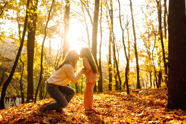 Elegante Joven Madre Hija Caminando Bosque Otoño Atardecer Madre Hija — Foto de Stock