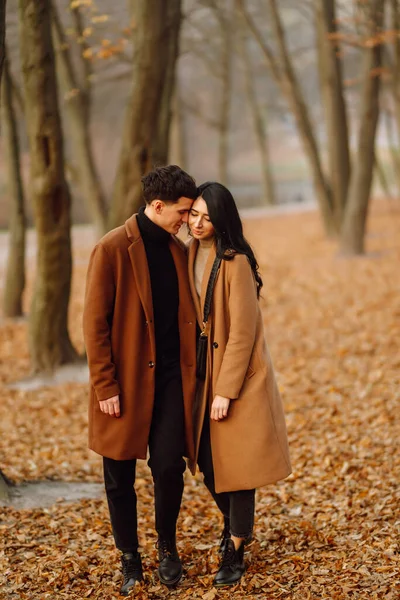 Casal Encantador Divertindo Juntos Floresta Outono Casal Moda Desfrutando Clima — Fotografia de Stock