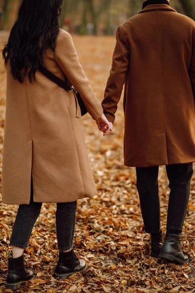 Casal Encantador Divertindo Juntos Floresta Outono Casal Moda Desfrutando Clima — Fotografia de Stock