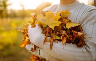 Bir kucak dolusu düşmüş sarı yaprak bir adamın ellerinde. Adam sonbahar parkını sarı yapraklardan temizliyor. Gönüllü olmak, temizlik ve ekoloji kavramı.