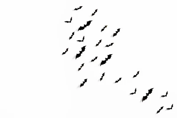 Vliegende Vleermuizen Groep Geïsoleerd Witte Achtergrond Halloween Symbolen — Stockfoto