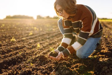 Genç bir çiftçinin elleri tarımda dururken yerde taze bir filiz tutuyordu. Bir tarım uzmanı verimli topraklarda genç bir bitki yetiştirir. Bahçe işleri konsepti. Yakın plan..