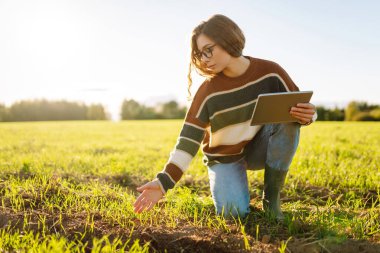 Dijital tabletli genç bir kadın çiftçi, yeşil tarım alanında güneşleniyor. Yeşil lahanalı dişi tarım uzmanı mahsulün büyümesini ve kalitesini kontrol ediyor. Çiftçilik ve teknoloji kavramı.