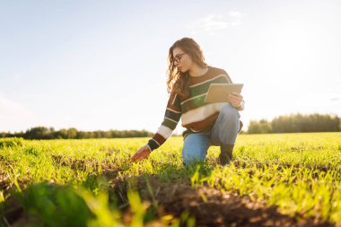 Dijital tabletli genç bir kadın çiftçi, yeşil tarım alanında güneşleniyor. Yeşil lahanalı dişi tarım uzmanı mahsulün büyümesini ve kalitesini kontrol ediyor. Çiftçilik ve teknoloji kavramı.