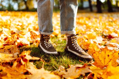 Güneşli bir ormanda, parlak yeşilliklerde yürüyen yürüyüş botlarıyla bir kadının ayaklarının yakın çekimi. Gün batımında bir kadın yürüyüşçü botlarıyla yürüyüş parkurunda yürüyor. Macera kavramı, mevsimlik.