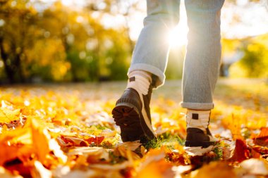 Güneşli bir ormanda, parlak yeşilliklerde yürüyen yürüyüş botlarıyla bir kadının ayaklarının yakın çekimi. Gün batımında bir kadın yürüyüşçü botlarıyla yürüyüş parkurunda yürüyor. Macera kavramı, mevsimlik.