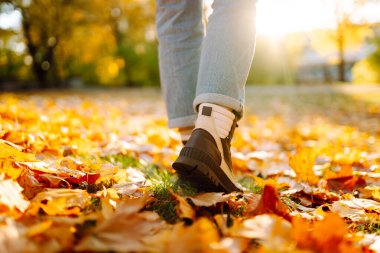 Güneşli bir ormanda, parlak yeşilliklerde yürüyen yürüyüş botlarıyla bir kadının ayaklarının yakın çekimi. Gün batımında bir kadın yürüyüşçü botlarıyla yürüyüş parkurunda yürüyor. Macera kavramı, mevsimlik.