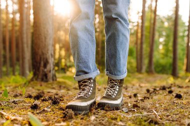 Batan güneşin ışınlarıyla orman yolunda yürüyen çizmeli bir yürüyüşçünün yakın çekimi. Ormanda yeni yerler keşfeden ve maceranın tadını çıkaran bir kadının bacakları. Yürüyüş kavramı, mevsimlik.
