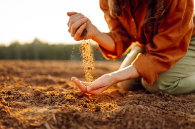 Tecrübeli bir çiftçi saban tarlasında diz çöker ve toprağı parmaklarının arasından döker. Bir tarım uzmanı gün batımında ekmeden önce kara toprağın kalitesini ölçer. Bahçıvanlık ve tarım kavramı.