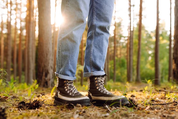 Batan güneşin ışınlarıyla orman yolunda yürüyen çizmeli bir yürüyüşçünün yakın çekimi. Ormanda yeni yerler keşfeden ve maceranın tadını çıkaran bir kadının bacakları. Yürüyüş kavramı, mevsimlik.