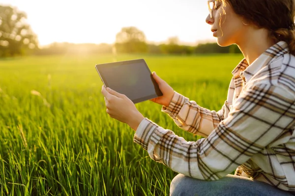 Dijital tabletli genç bir kadın. Güneş ışınlarında yeşil tarımsal bir alanda. Dişi bir çiftçi ekinlerin büyümesini tabletle kontrol eder ve günbatımının tadını çıkarır. Teknoloji kavramı, tarım..