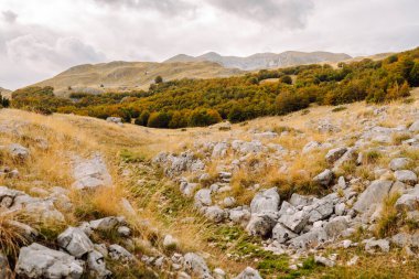 Dağ manzarası. Görkemli dağlarla çevrili çimenli bir arazide kayalık bir patika. Sonbahar vahşi doğası.