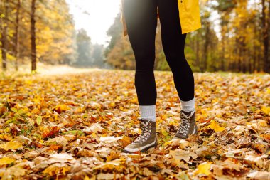 Yürüyüş botlarıyla bir yürüyüşçünün ayaklarının yakın çekimi sarı yapraklarla kaplı bir patika boyunca yürüyor. Ağır çizmeli bir kadın ormanda sonbahar gününün tadını çıkarır. Yürüme, yürüyüş kavramı. Sonbahar günü!