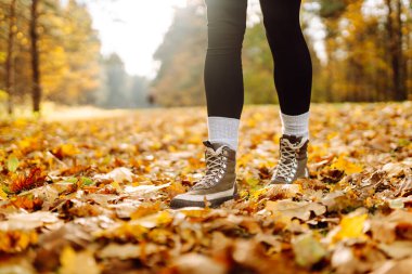 Yürüyüş botlarıyla bir yürüyüşçünün ayaklarının yakın çekimi sarı yapraklarla kaplı bir patika boyunca yürüyor. Ağır çizmeli bir kadın ormanda sonbahar gününün tadını çıkarır. Yürüme, yürüyüş kavramı. Sonbahar günü!