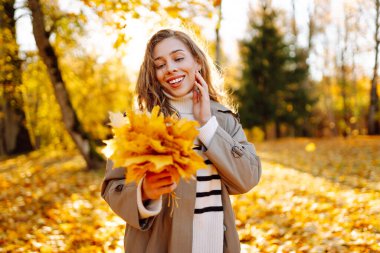 Mutlu bir kadın gün batımında bir sonbahar parkında eğleniyor. Gündelik giysiler içinde güzel bir kadın güneşli bir günde havaya yapraklar fırlatır. Yürüyüş kavramı, rahatlama..