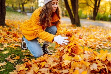 Parlak ceketli genç bir kadın güneş ışınlarında diz çökerken sonbahar yaprakları topluyor. Bir kadın gönüllü parkta sarı yaprakları tırmıklıyor. Ekoloji, gönüllülük, mevsimlik kavramları.