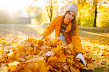 Parlak ceketli genç bir kadın güneş ışınlarında diz çökerken sonbahar yaprakları topluyor. Bir kadın gönüllü parkta sarı yaprakları tırmıklıyor. Ekoloji, gönüllülük, mevsimlik kavramları.