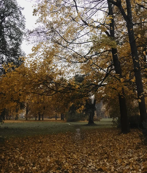 Oktober Jesień Parku Kadriorg Tallinn — Zdjęcie stockowe