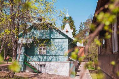 Sevimli Bengal kedicik 