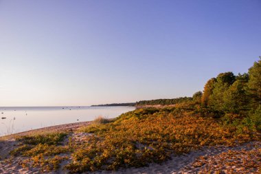 Sonbaharda gün batımı barış ve aşk