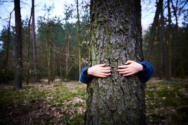 Ormanda ağaç gövdesi arkasında saklanan çocuk. 