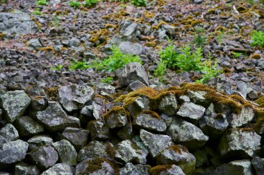 Dağlardaki kayalık sahil, yüzey taşları