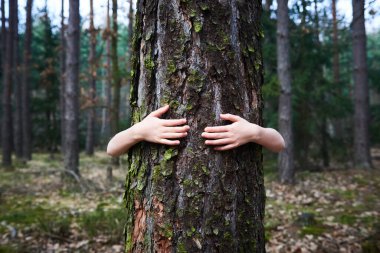 Ormanda ağaç gövdesi arkasında saklanan çocuk. 