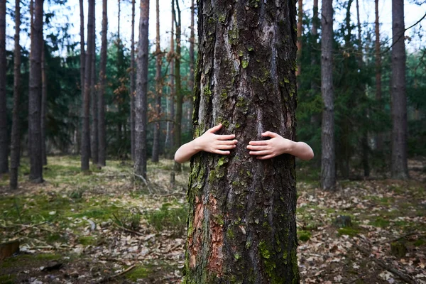 child hugging tree, hiding behind tree trunk kid