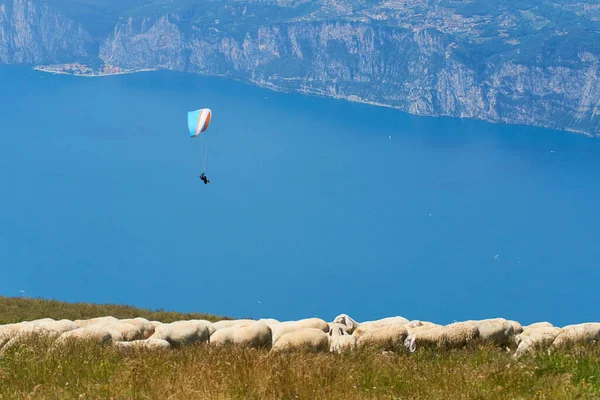 parachutist skydiving in sky, action sport in mountains 