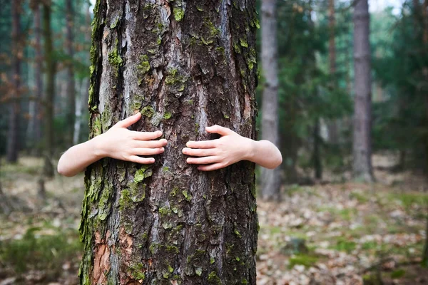 child hugging tree, hiding behind tree trunk kid