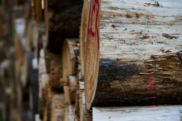 Dřevěné Klády Dřevěné Komíny — Stock fotografie