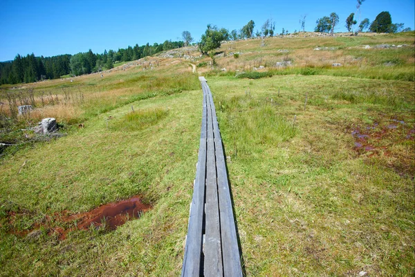 wooden planks, road in green meadow, blue sky and field on hills