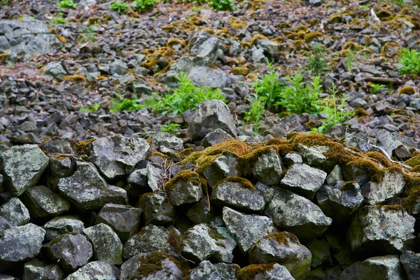 rocky coast in the mountains, stones surface