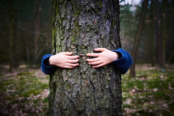 child hugging tree, hiding behind tree trunk kid