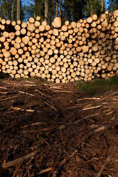 Pile Wooden Logs Stacked Together — ストック写真