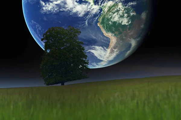 Vert Classé Arbre Grande Planète Terre — Photo