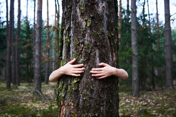 child hugging tree, hiding behind tree trunk kid