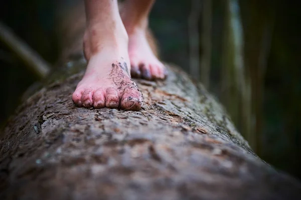 Gros Plan Personne Marchant Pieds Nus Sur Tronc Arbre Cassé Photo De Stock