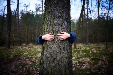 Ormanda ağaç gövdesi arkasında saklanan çocuk. 