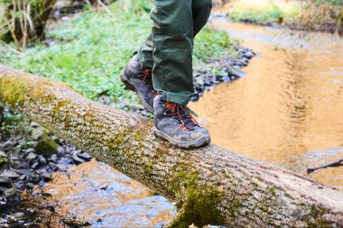 Botlu biri nehrin yukarısındaki ormandaki kırık ağaç gövdesine atlıyor. 
